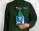 Zielony opryskiwacz Substral z etykietą "SAPROL" do ochrony kwiatów przed chorobami grzybowymi, np. mączniakiem.