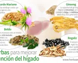 Remedios naturales para el hígado: ¿Son seguros y eficaces?