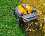 Une main gantée pousse un scarificateur ou un démousseur sur une pelouse verte et jaune, aérant le sol pour une meilleure croissance.