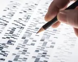 Dita che analizza un elettrofo gramma, uno strumento chiave nella biologia forense per identificare profili genetici.