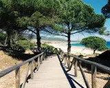 Holzsteg führt zu einem Strand mit Pinien. Ein perfekter Ort für einen Campingplatz Costa de la Luz.