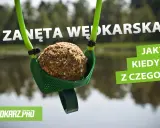 Kula zanęty wędkarskiej 5 kg w zielonej łopatce, gotowa do zarzucenia. W tle woda i drzewa.