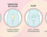 Ilustración sobre consistencia, color, olor y cantidad del moco vaginal. Muestra variaciones normales y posibles señales de alerta.