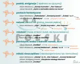 Motywy romantyzmu lektury: podróż, postacie fantastyczne, natura, młodość, patriotyzm, miłość. Mickiewicz, Słowacki, Goethe.