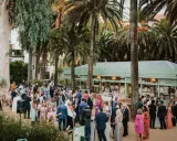 Invitados disfrutan de una boda tipo coctel al aire libre, rodeados de palmeras y eucaliptos. Un pabellón verde al fondo ofrece un espacio cubierto.