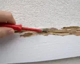 Main d'une personne utilisant un tournevis rouge pour gratter du bois rongé par des termites, révélant les dégâts dans une maison.