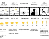 Comparativa de tipos de objetivo de una cámara: ojo de pez, gran angular, estándar, teleobjetivo, tele larga distancia y macro.