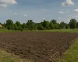 Pola uprawne po odrolnieniu, domki w tle. Zastanawiasz się, ile trwa odrolnienie działki?