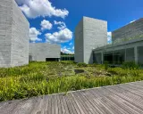 Modern architecture at Glenstone Museum, with grey brick buildings surrounding a lush pond filled with water lilies and reeds.