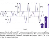Wykres przedstawia spirometrię, badanie oceniające pojemność płuc. Pokazuje różne objętości oddechowe, takie jak TV, ERV, IRV, IC, RV, FRC, TLC i VC.