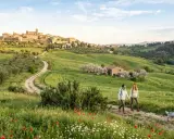 Coppia passeggia con cane tra fiori e ulivi, con un borgo medievale sullo sfondo, tipico dei borghi vicino Arezzo.