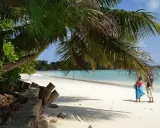 Rajska plaża z palmami, turkusową wodą i dwiema osobami. Tak właśnie wyglądają Seszele, gdzie leżą te rajskie wyspy.