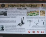 Kampinoski Park Narodowy, Góra Ojca - wydmy śródlądowe, sosny na "kurzych łapkach", historia ks. Korniłowicza.
