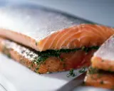 Närbild på gravad lax med dill, redo att serveras.