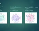 Arten von Asthma: allergisch, nicht-allergisch, gemischt. Illustrationen zeigen Auslöser wie Pollen, Viren, Kälte, Hitze, Umweltverschmutzung, die das Herz und die Lunge beeinflussen können.