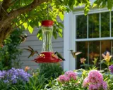 Quatre colibris s'approchent d'un abreuvoir rouge vif, entouré de fleurs colorées. Un colibri boit, un autre attend son tour, et deux autres volent autour.