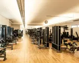 Reihe von Krafttrainingsgeräten in einem hellen Fitnessstudio. Ideal für Krafttraining bei Hexenschuss zur Stärkung der Rumpfmuskulatur.
