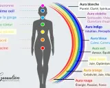 Diagramme des chakras et des couleurs de l'aura, de la couronne à la racine, avec leurs significations.