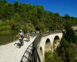 Ciclisti in gruppo percorrono la ciclabile Spoleto Norcia su un viadotto panoramico, immersi nel verde.