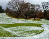 A golf course with patches of pink snow mold on the green grass, trees with bare branches, and a cloudy sky.