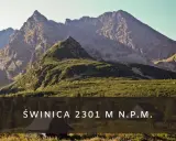Majestatyczny szczyt w Tatrach Wysokich o dwóch wierzchołkach, Świnica, wznosi się dumnie nad zielonymi zboczami.
