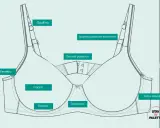 Schema tecnico di un reggiseno con etichette per le parti: spallino, ferretto, coppa, tubicino, centralino, gancetti posteriori, fasce laterali.