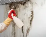 Mano con guanti che spruzza un prodotto su un muro ammuffito, per misurare l'umidità e combattere il problema.