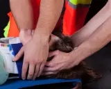 Ratownicy medyczni stabilizują głowę i szyję poszkodowanego, zakładając kołnierz ortopedyczny. Pierwsza pomoc przy urazach kręgosłupa jest kluczowa.
