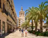 Passeggiata in una via di Valencia con palme e la torre della cattedrale. Ideale per percorsi a piedi.