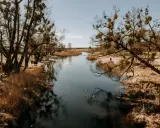 Spokojna rzeka, drzewa z jemiołą i trzciny. Idealne miejsce, by zastanowić się, gdzie na Mazury.