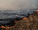 Metan gaz cieplarniany: 80x silniejszy od CO2. Co dalej?