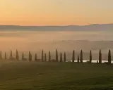 Alba nebbiosa in Toscana Val d'Orcia, con filari di cipressi che costeggiano una strada, colline sfumate e un cielo aranciato.