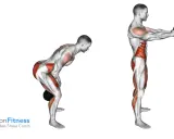 Anatomische Darstellung eines Mannes, der Kettlebell schwingen ausführt. Die Muskeln sind hervorgehoben.