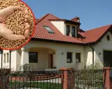 Domy z czerwonym dachem i ręce trzymające pellet. Odkryj najtańsze ogrzewanie domu z ekologicznego paliwa.
