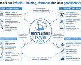 Grafik erklärt Muskelaufbau bei Frauen: Protein, Training, Hormone und Genetik sind Schlüssel für Muskelmasse.