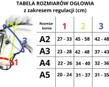 Tabela rozmiarów ogłowia dla koni, z zaznaczonymi na rysunku głowy pomiarami: 1 (pysk), 2 (czoło), 3 (szyja).