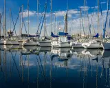Une flotte de voiliers blancs, reflets parfaits sur l'eau calme. Un chantier naval, le constructeur bateau, a créé ces merveilles.