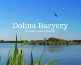 Dolina Baryczy, malowniczy krajobraz z wodą, trzcinami i ptakami w locie. Odkryj najciekawsze atrakcje tego miejsca.