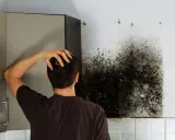 Mann kratzt sich am Kopf und blickt auf einen großen Fleck schwarzen Schimmel an der Wand neben einem Küchenschrank.