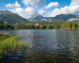 Jezioro w otoczeniu gór i lasów, z widocznym budynkiem hotelowym na drugim planie.