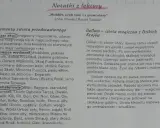 Notatki z lektury "Hobbit, czyli tam i z powrotem". Opis świata przedstawionego, w tym miejsc i bohaterów, oraz charakterystyka Golluma.