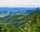 Widok na Dolní Morava most wiszący nad zielonymi lasami i wzgórzami. W oddali widać wieżę widokową.