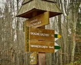 Drewniany drogowskaz w lesie wskazuje drogę do "SKALNE GRZYBY" (1h) i "NIKNĄCA ŁĄKA" (0h40).
