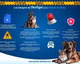 L'antigel est un danger pour votre chien. L'éthylène glycol, son composant, est toxique. Reconnaissez les symptômes d'intoxication et agissez vite.