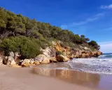 Sandstrand mit Felsen und Pinienwald an der Küste von La Mora, Spanien. Wellen brechen sanft am Ufer.