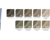 Revlonissimo Haarfarben Tabelle zeigt verschiedene Aschblond- und Naturtöne, von Dunkelbraun bis sehr hellem Blond.