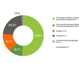 Kreisdiagramm zeigt, woher der Strom kommt: 50,9% aus erneuerbaren Energien (EEG-Umlage), 22,3% aus Kohle, 14,7% aus Erdgas.