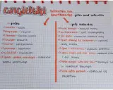 Notatki z angielskiego: jobs and activities. Lista zawodów i ich czynności, np. "farmer - uprawiać plony", "nurse - opiekować się pacjentami".