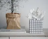 En växt i en brun papperspåse står bredvid en vit korallliknande dekoration på en rutig vas. En inspirerande diy vas-idé.