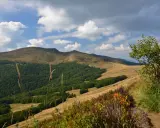 Krajobraz górski z pradawnymi i pierwotnymi lasami bukowymi Karpat. Na pierwszym planie ścieżka i roślinność, w tle łagodne wzgórza i chmury.